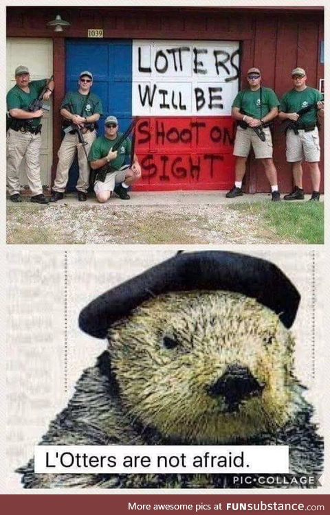 Otterly offensive
