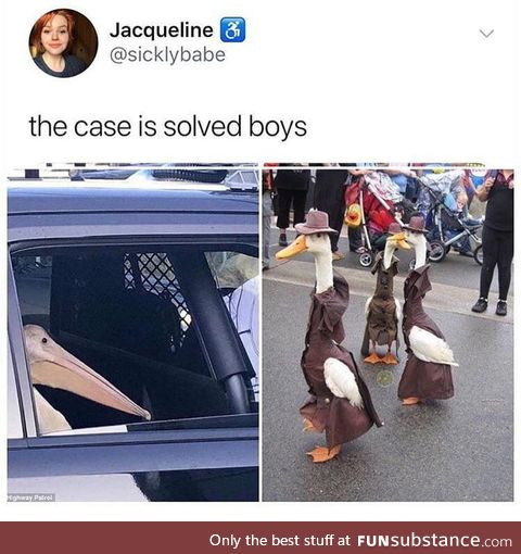 The Geese Detectives back at it again
