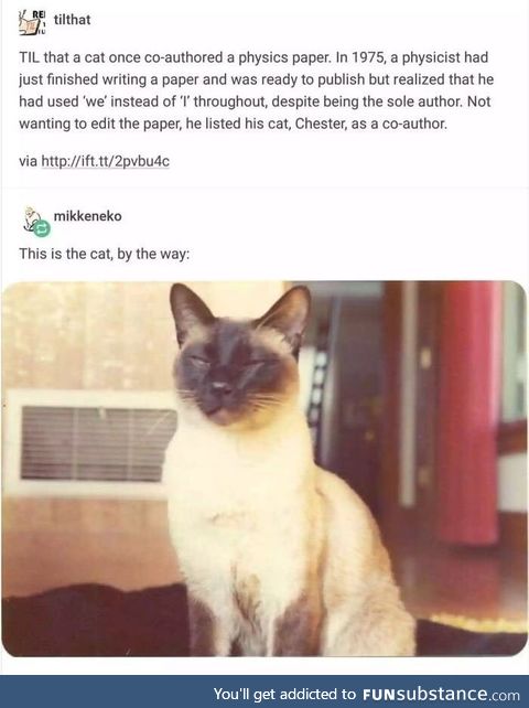Cats of science