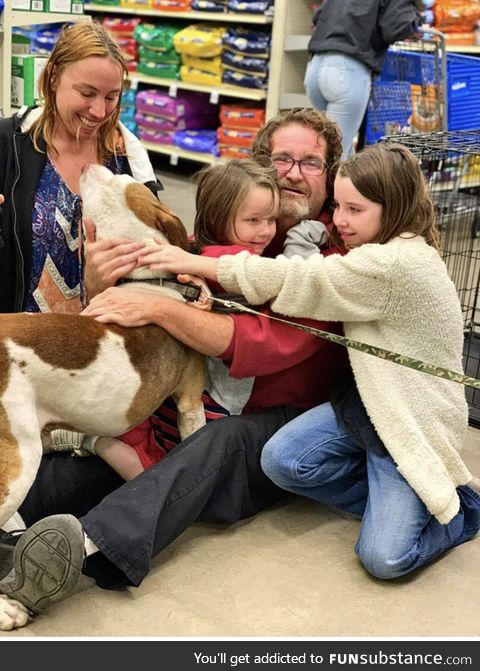 A family finds their missing dog while going to adopt a cat