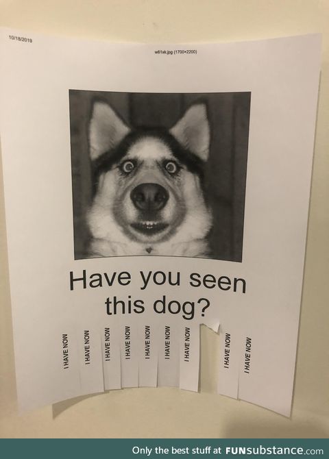 This was hanging on a wall at my office