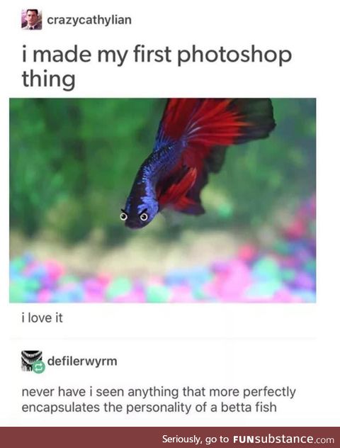 The Betta does emote