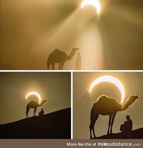 Today's Solar Eclipse, Saudi Arabia. Wow