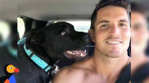 Dog has a very unique bark; Helps his dad realize what's important (FeelGoodSubstance)