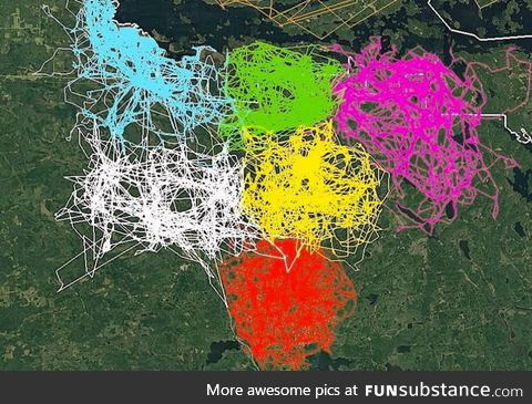 GPS tracking of 6 different wolf packs in Voyageurs National Park. Notice how territorial