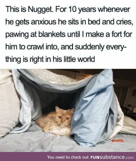 Even Nuggets Need Blanket Forts