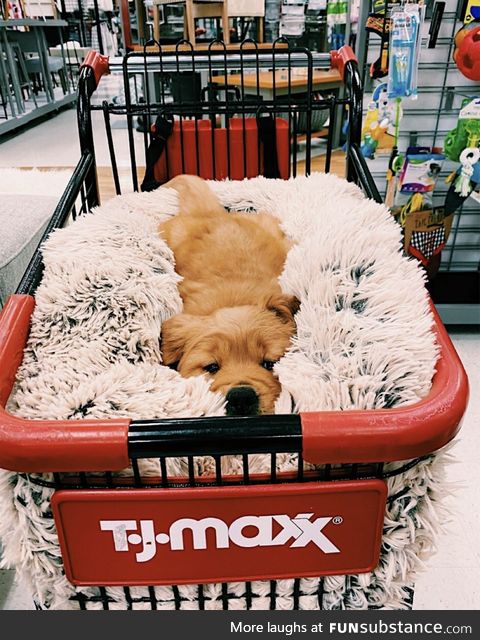 So much floof for one little cart