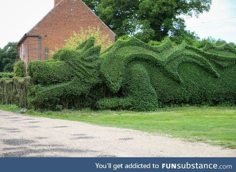Now that's what I call Shrubbery 2020