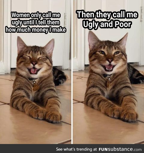 Who's laughing meow?