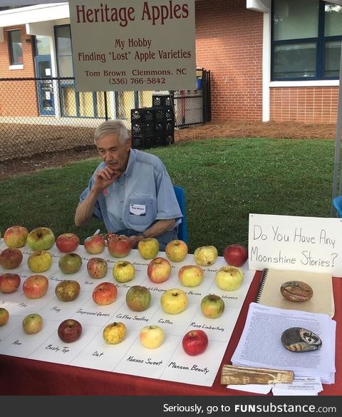 This man's collection of lost apples