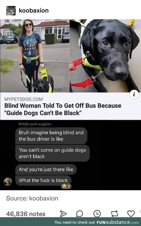 It had to be a bus