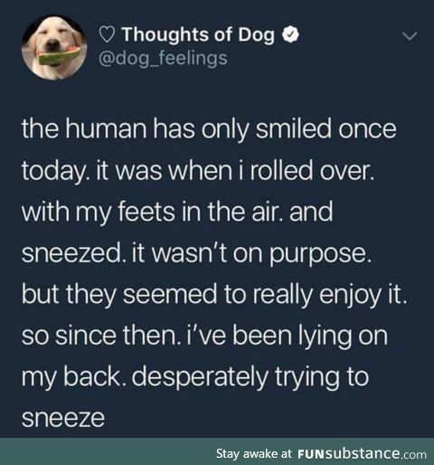 The Human loves the sneezy boi