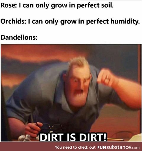 Dirty is Dandy