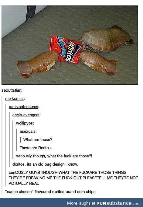Giant isopods, if someone didn't know