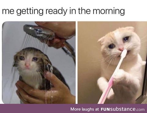 Every damn morning