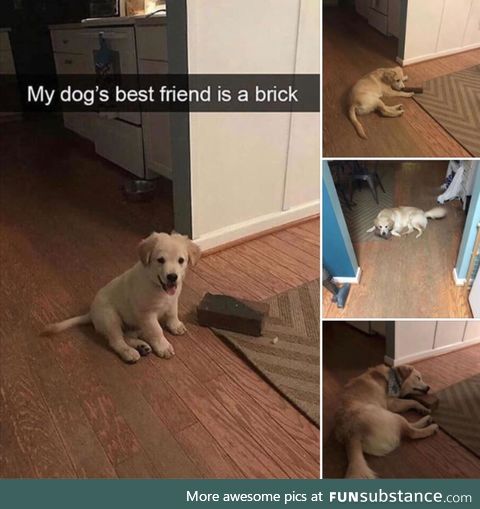 Brick is fren