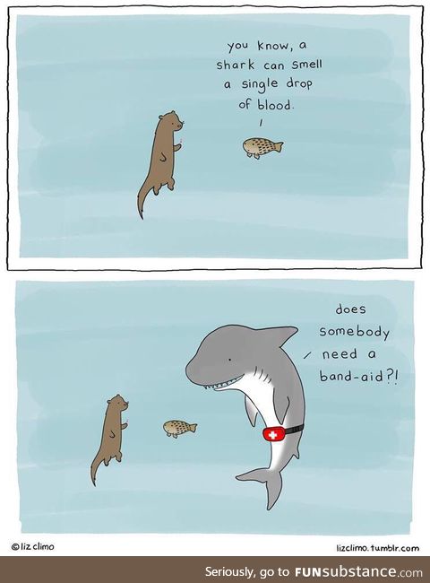 Shark medic