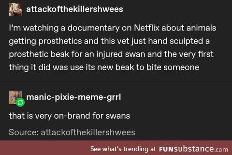 Swans is as swans does