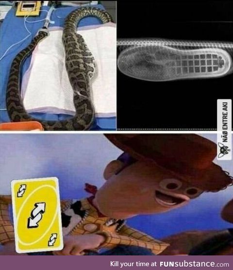 Theres a boot in my snake