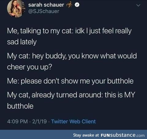 Can cat owners confirm?