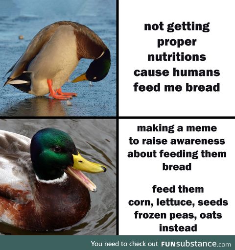 Bread is the enemy of life