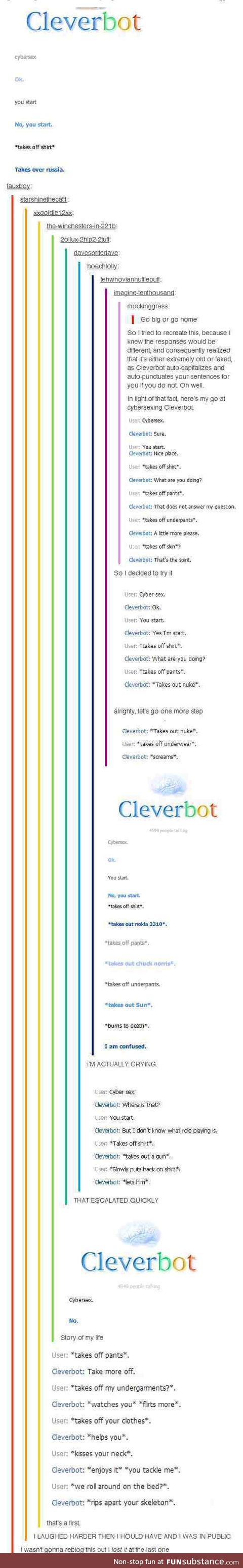 Cleverbot Cybersex. (You will need armour, I think. And something to bite down on.)