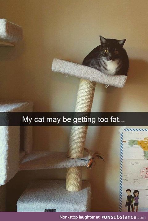 Chonk