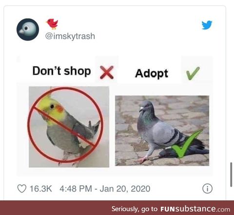 (HL doesn't support the bird emoji so my title is ruined)