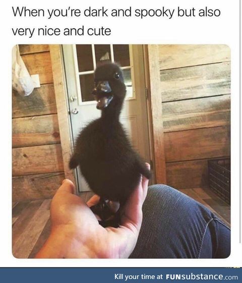 Just a fuzzy gothic water chicken