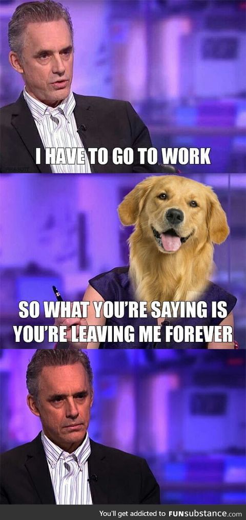 Every doggo ever