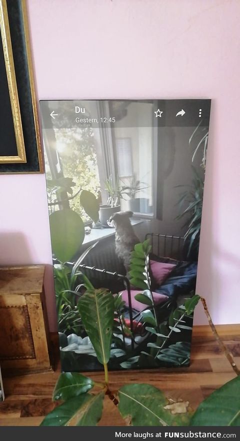 So my mother ordered a poster of our dog