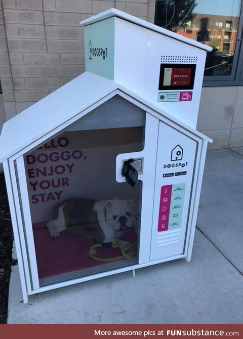 This dog in a Dogspot. An air conditioned, comfortable spot you can leave your dog in