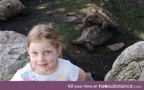 Took my daughter to the zoo and she wanted a picture with the "dancing turtles"