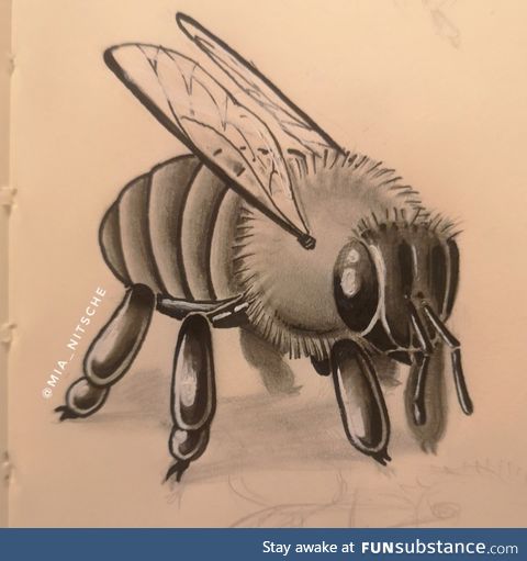 I drew a fuzzy bee because I love them and they are the cutest :')