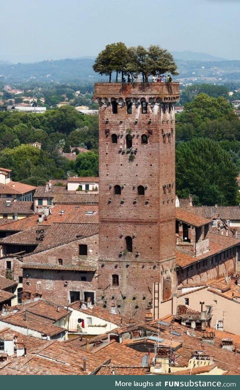 Guinigi Tower  Lucca, Tuscany