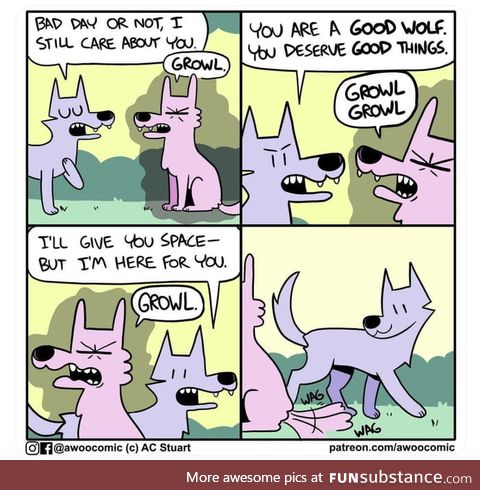 Wolfes can be nice and wholesome