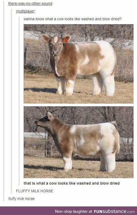 Fluffy Milk Horse