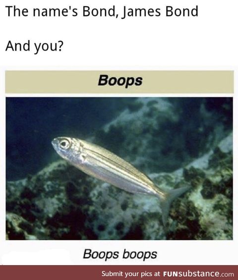 The Name Is Boops. βόωψ boōps.