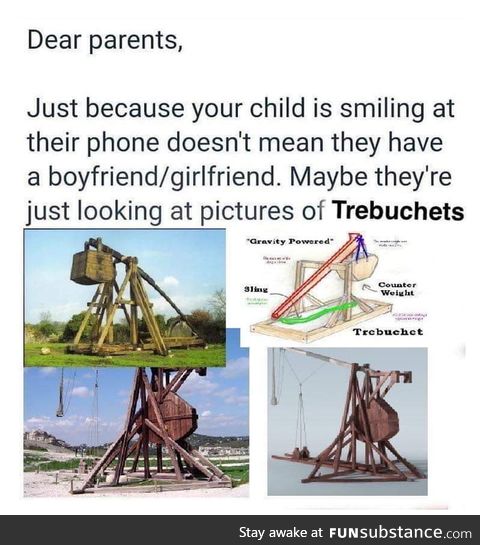 Trebuchets can throw a 90kg projectile over 300 meters