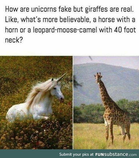 Leopard-moose-camel