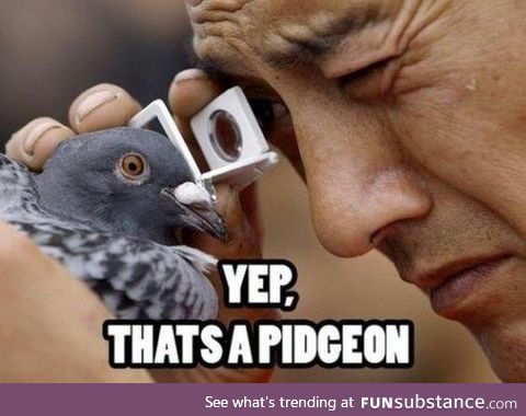 @mr_pigeonwizard that's exactly how I imagine you.