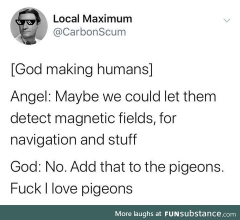 Pigeons get all the cool features