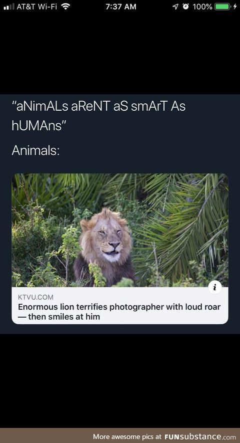Humans are smarter than animals