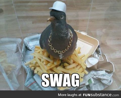 Rich bi... Pigeon