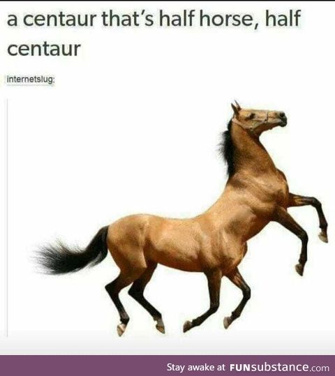 Half horse half centaur