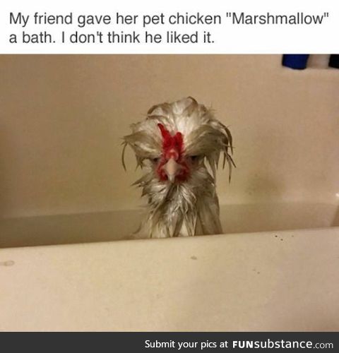 Marshmallow Chicken - just in time for easter