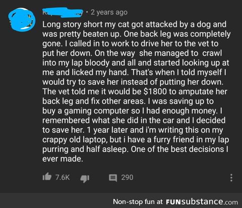 This YouTubers sacrifice for his beloved pet