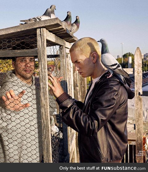 This photo of Eminem with a pigeon on his shoulder has a serene feel to it