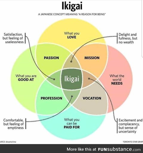 Ikigai is life
