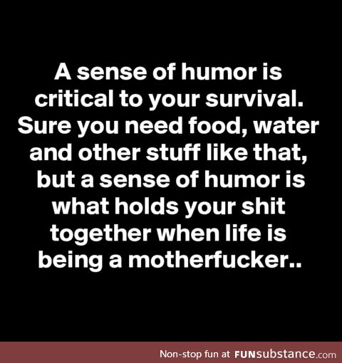 The Importance of Having a Sense of Humor
